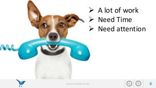  A lot of work 
 Need Time 
 Need attention 
businessbluebird.com 6 
 