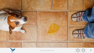 businessbluebird.com 7 
 