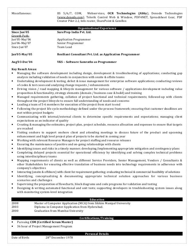 senior programmer resume