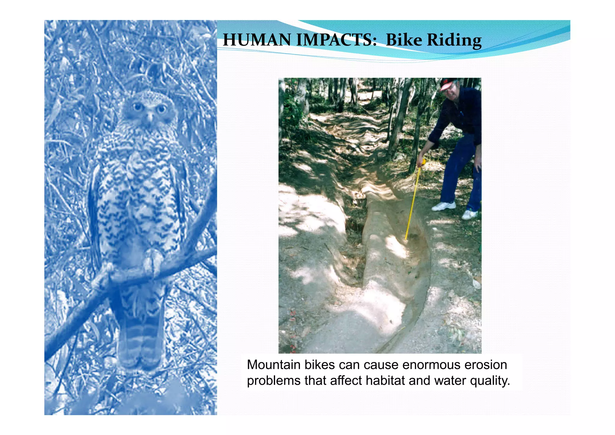 HUMAN IMPACTS: Bike Riding




  Mountain bikes can cause enormous erosion
  problems that affect habitat and water quality.
 