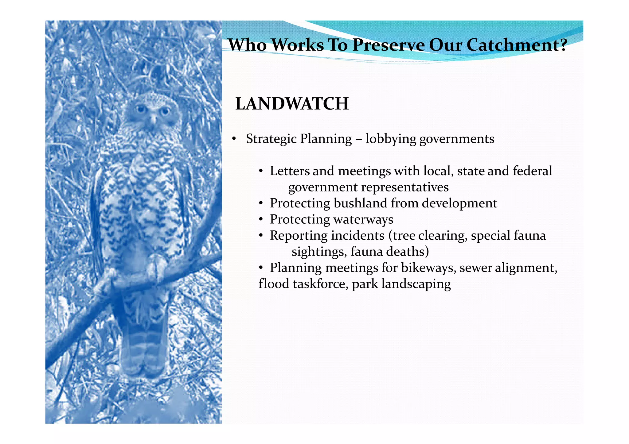 Who Works To Preserve Our Catchment?


LANDWATCH
• Strategic Planning – lobbying governments

    • Letters and meetings with local, state and federal
         government representatives
    • Protecting bushland from development
    • Protecting waterways
    • Reporting incidents (tree clearing, special fauna
          sightings, fauna deaths)
    • Planning meetings for bikeways, sewer alignment,
    flood taskforce, park landscaping
 
