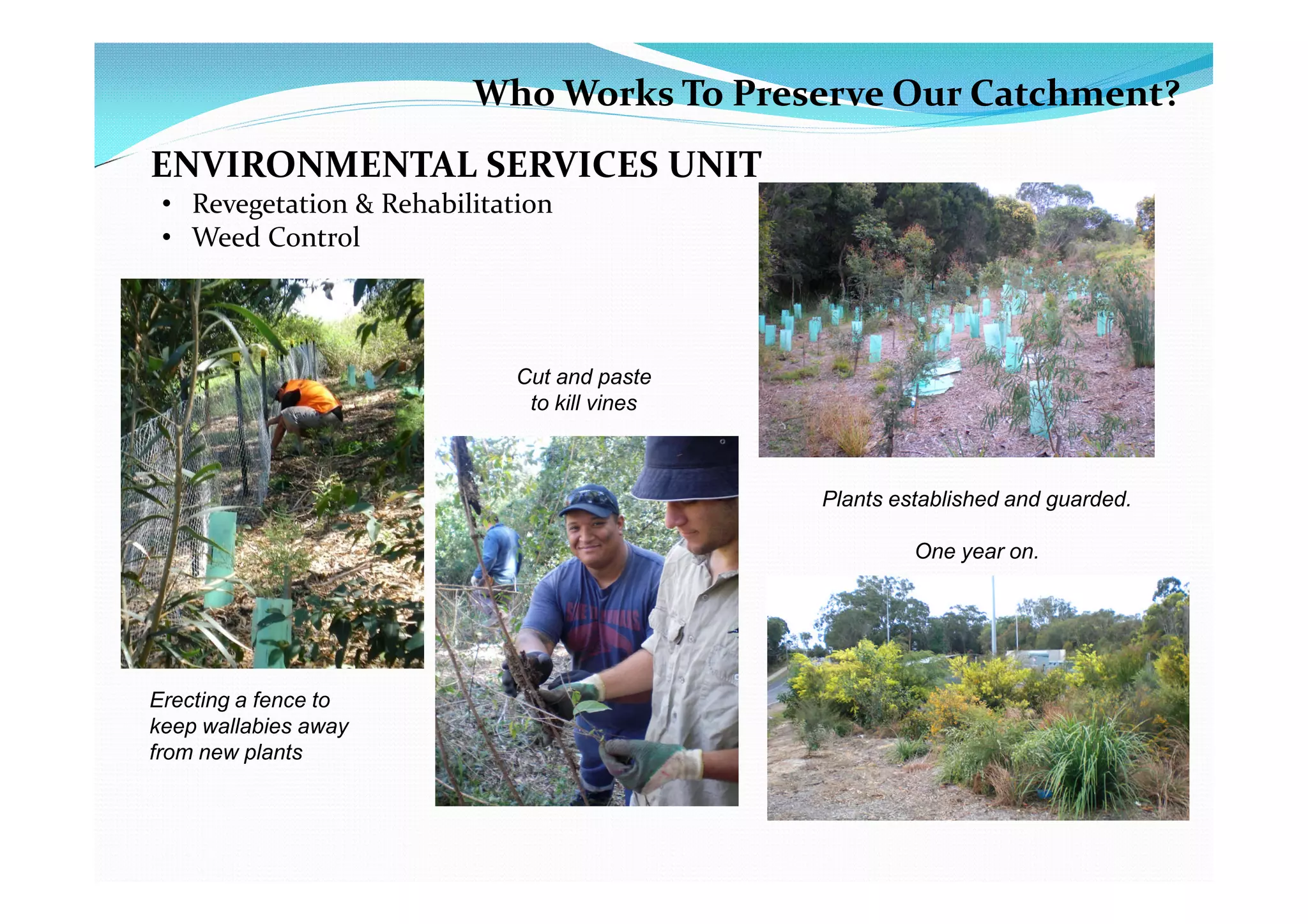 Who Works To Preserve Our Catchment?
ENVIRONMENTAL SERVICES UNIT
 • Revegetation & Rehabilitation
 • Weed Control



                             Cut and paste
                              to kill vines



                                              Plants established and guarded.

                                                       One year on.




Erecting a fence to
keep wallabies away
from new plants
 