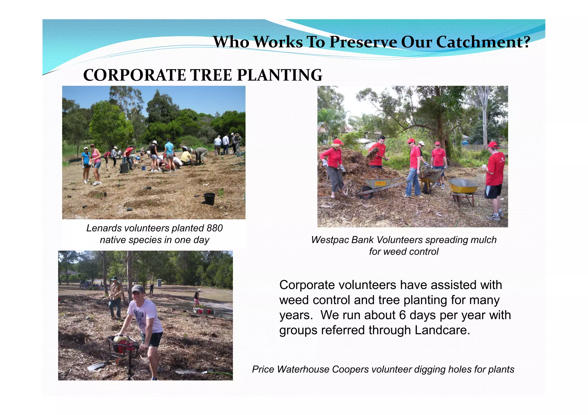Who Works To Preserve Our Catchment?
CORPORATE TREE PLANTING




Lenards volunteers planted 880
  native species in one day                   Westpac Bank Volunteers spreading mulch
                                                         for weed control


                                       Corporate volunteers have assisted with
                                       weed control and tree planting for many
                                       years. We run about 6 days per year with
                                       groups referred through Landcare.


                                 Price Waterhouse Coopers volunteer digging holes for plants
 