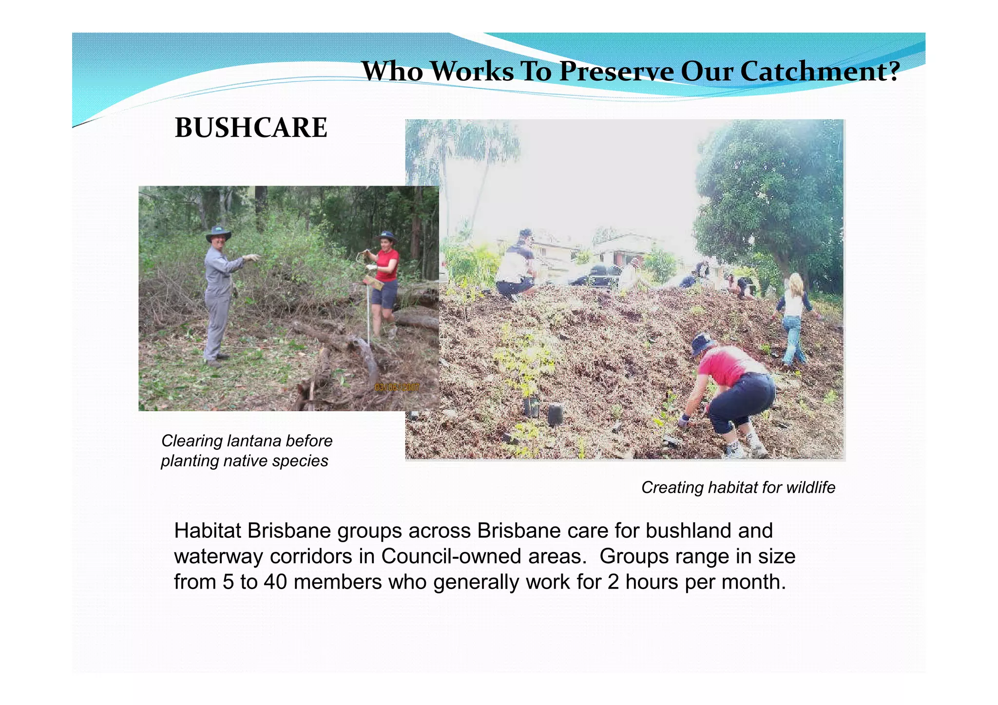 Who Works To Preserve Our Catchment?
 BUSHCARE




Clearing lantana before
planting native species
                                                Creating habitat for wildlife

 Habitat Brisbane groups across Brisbane care for bushland and
 waterway corridors in Council-owned areas. Groups range in size
 from 5 to 40 members who generally work for 2 hours per month.
 