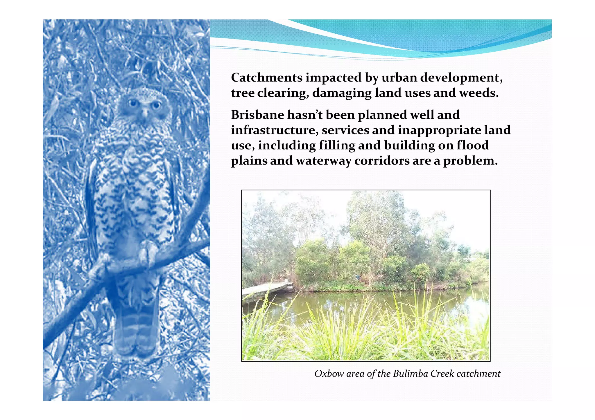 Catchments impacted by urban development,
tree clearing, damaging land uses and weeds.
Brisbane hasn’t been planned well and
infrastructure, services and inappropriate land
use, including filling and building on flood
plains and waterway corridors are a problem.




              Oxbow area of the Bulimba Creek catchment
 