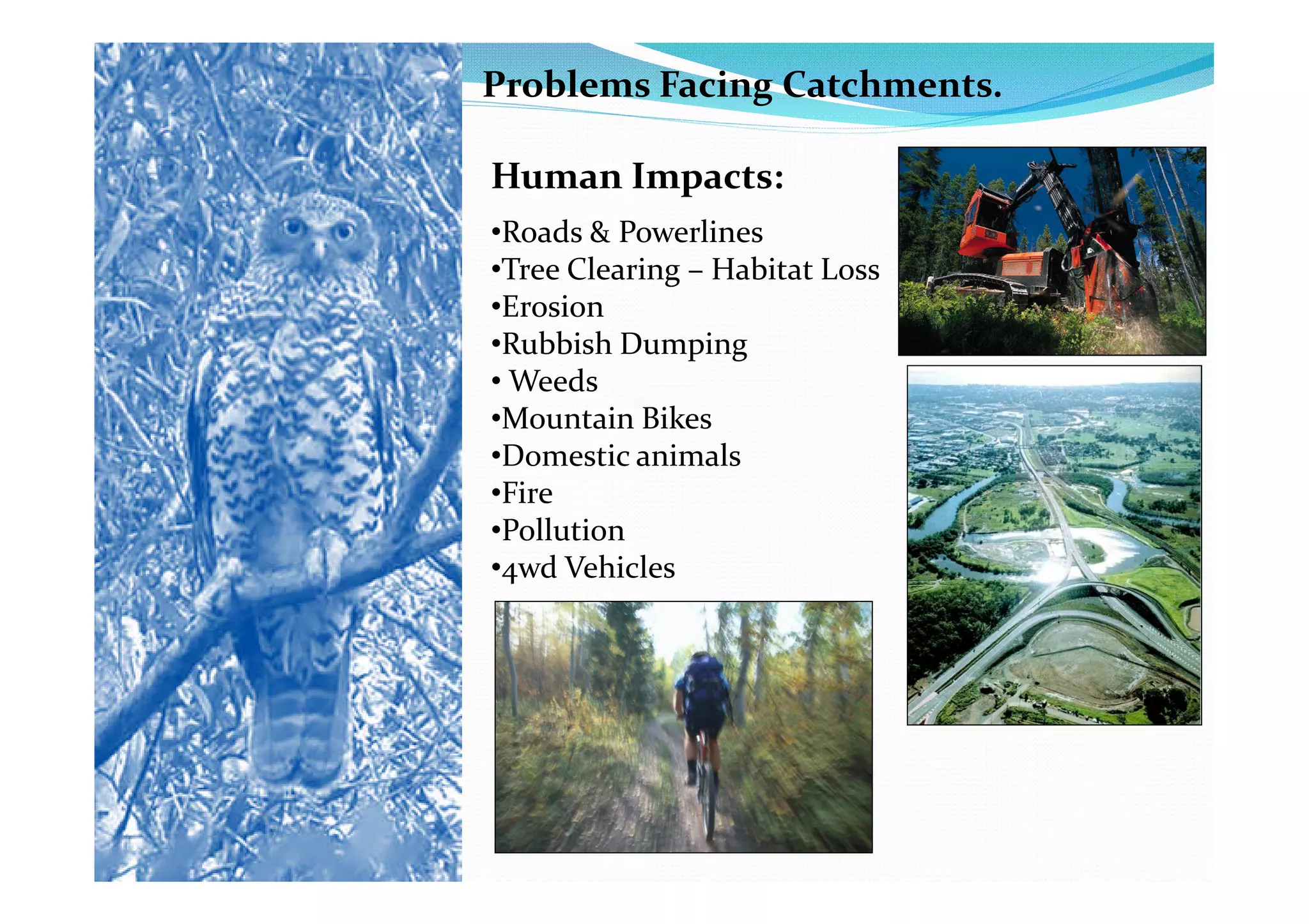 Problems Facing Catchments.

Human Impacts:
•Roads & Powerlines
•Tree Clearing – Habitat Loss
•Erosion
•Rubbish Dumping
• Weeds
•Mountain Bikes
•Domestic animals
•Fire
•Pollution
•4wd Vehicles
 