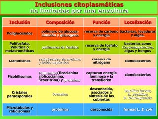 Inclusiones citoplasmáticas
no limitadas por una envoltura
Inclusión Composición Función Localización
Poliglucósidos
polímero de glucosa:
almidón y glucógeno
reserva de carbono
y energía
bacterias, levaduras
y algas.
Polifosfato,
Volutina o
metacromáticos
polímeros de fosfato
reserva de fosfato
y energía
bacterias como
Corynebacterium,
algas y hongos
Cianoficinas
polipéptidos de arginina
y ácido aspártico
reserva de
nitrógeno cianobacterias
Ficobilisomas
Pigmentos(ficocianina
aloficocianina,
ficoeritrina) y proteínas
capturan energía
luminosa y la
transfieren
cianobacterias
Cristales
paraesporales Proteína
desconocida,
asociados a
síntesis de las
cubiertas
Bacillus larvae,
B. popilliae,
B. thuringiensis.
Microtúbulos y
rafidisomas proteínas desconocida formas L, E. coli
 
