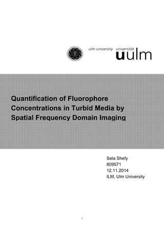 1
Quantification of Fluorophore
Concentrations in Turbid Media by
Spatial Frequency Domain Imaging
Sela Shefy
809571
12.11.2014
ILM, Ulm University
 