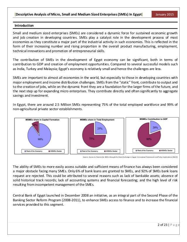 Descriptive Analysis of Micro, Small And Medium Sized ...
