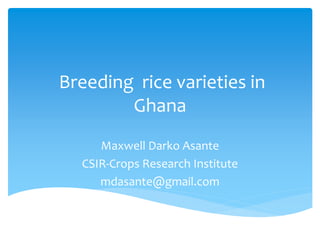 Breeding rice varieties in
Ghana
Maxwell Darko Asante
CSIR-Crops Research Institute
mdasante@gmail.com
 