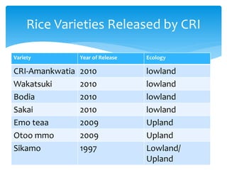 Emo Rice B4FA 2013 Ghana: Breeding rice varieties in Ghana - Maxwell Darko ...