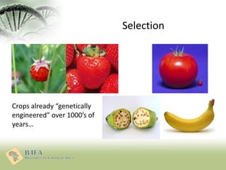Crops already “genetically
engineered” over 1000’s of
years…
Selection
 