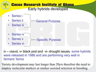 B4FA 2013 Ghana: Cocoa black pod resistance - Abu Dadzie and George ...