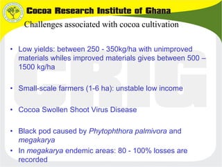 B4FA 2013 Ghana: Cocoa black pod resistance - Abu Dadzie and George ...