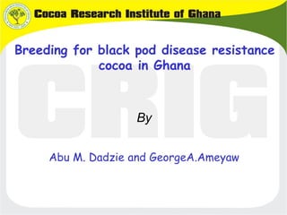 Breeding for black pod disease resistance
cocoa in Ghana
By
Abu M. Dadzie and GeorgeA.Ameyaw
 