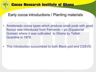 Early cocoa introductions / Planting materials
• Amelonado cocoa types which produce small pods with good
flavour was intr...