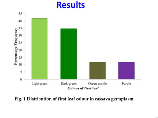 Fig. 1 Distribution of first leaf colour in cassava germplasm
0
5
10
15
20
25
30
35
40
45
Light green Dark green Green pur...