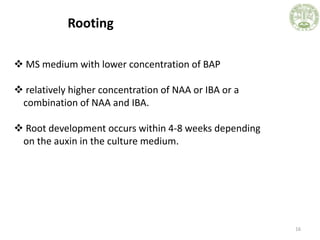 Rooting
16
 MS medium with lower concentration of BAP
 relatively higher concentration of NAA or IBA or a
combination of...