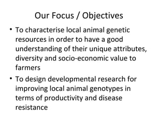 Animal genetics research at Sokoine University of Agriculture, Tanzania