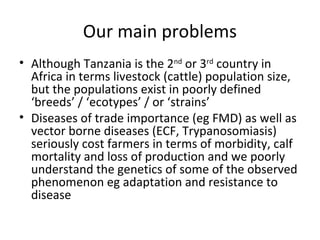 Animal genetics research at Sokoine University of Agriculture, Tanzania