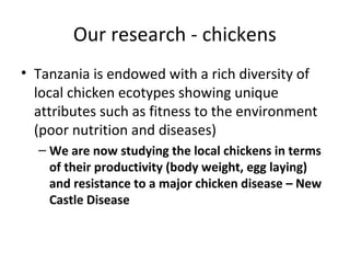 Animal genetics research at Sokoine University of Agriculture, Tanzania