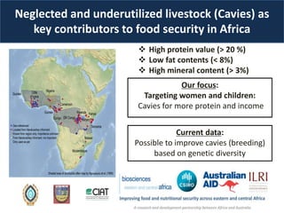 The BecA-ILRI Hub: B4FA Animal Genetics for Africa