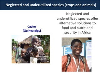 The BecA-ILRI Hub: B4FA Animal Genetics for Africa