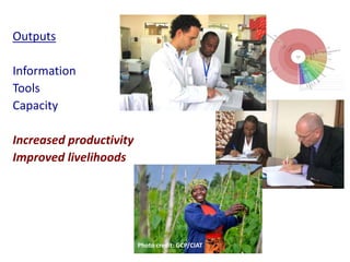 Partnering to outfox crop-infecting viruses in Africa