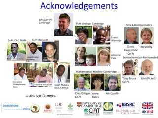 Partnering to outfox crop-infecting viruses in Africa