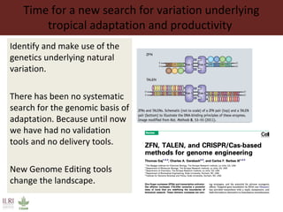 Time for a new search for variation underlying
tropical adaptation and productivity
Identify and make use of the
genetics underlying natural
variation.
There has been no systematic
search for the genomic basis of
adaptation. Because until now
we have had no validation
tools and no delivery tools.
New Genome Editing tools
change the landscape.
 