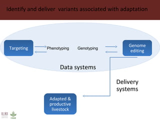 Identify and deliver variants associated with adaptation
GenotypingPhenotyping
Adapted &
productive
livestock
Genome
editing
Targeting
Data systems
Delivery
systems
 