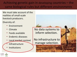 Achieving genetic gain in developing countries – the
same biological rules but different environments
We must take account of the
realities of small-scale
livestock producers.
Diversity of:
• Environment
• Climate
• Feeds available
• Endemic diseases
• Local market context
• Infrastructure
• Institutions
No data systems to
inform selection.
No infrastructure to
manage selection.
 