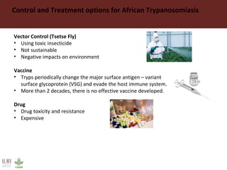Control and Treatment options for African Trypanosomiasis
Vector Control (Tsetse Fly)
• Using toxic insecticide
• Not sustainable
• Negative impacts on environment
Vaccine
• Tryps periodically change the major surface antigen – variant
surface glycoprotein (VSG) and evade the host immune system.
• More than 2 decades, there is no effective vaccine developed.
Drug
• Drug toxicity and resistance
• Expensive
 