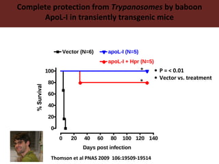 Vision for livestock genetics in Africa