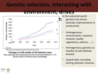Vision for livestock genetics in Africa