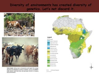 Vision for livestock genetics in Africa