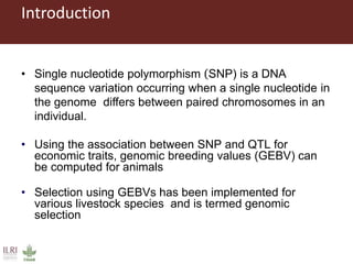 Genomic selection in small holder systems: Challenges and opportunities