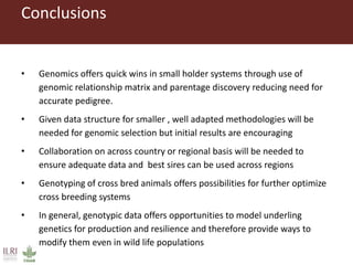 Genomic selection in small holder systems: Challenges and opportunities