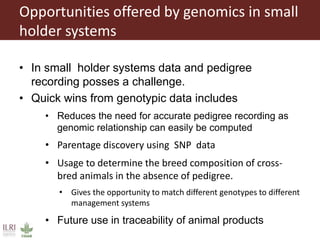 Genomic selection in small holder systems: Challenges and opportunities
