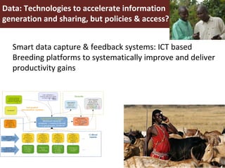 Improving livestock productivity and resilience in Africa: Application of genetic technologies and challenges