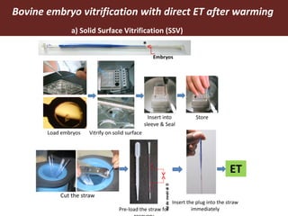 Improving livestock productivity and resilience in Africa: Application of genetic technologies and challenges