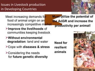 Improving livestock productivity and resilience in Africa: Application of genetic technologies and challenges