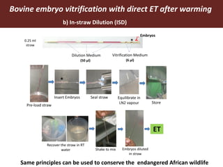 Improving livestock productivity and resilience in Africa: Application of genetic technologies and challenges