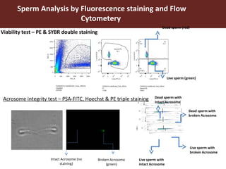 Improving livestock productivity and resilience in Africa: Application of genetic technologies and challenges