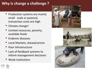 Improving livestock productivity and resilience in Africa: Application of genetic technologies and challenges