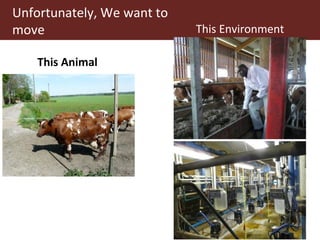 Improving livestock productivity and resilience in Africa: Application of genetic technologies and challenges