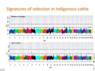 Livestock genomics—Experiences from South Africa