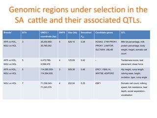 Livestock genomics—Experiences from South Africa