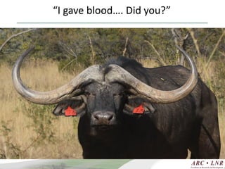 Livestock genomics—Experiences from South Africa