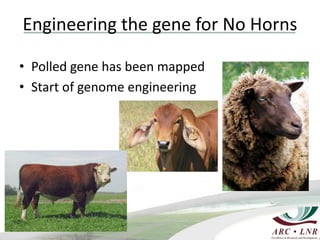 Livestock genomics—Experiences from South Africa